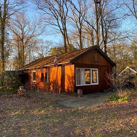 Basic Natuurhuisje Ommen/Beerzeヴィラ エクステリア 写真