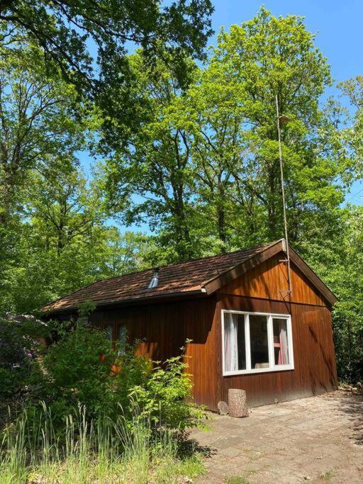 Basic Natuurhuisje Ommen/Beerzeヴィラ エクステリア 写真